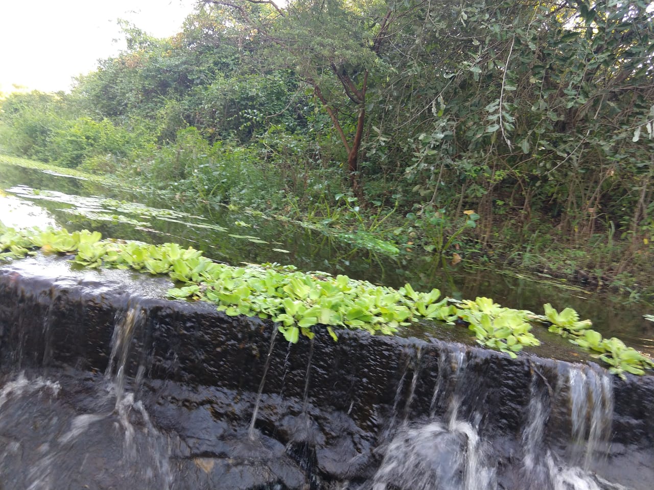 IMG-20191022-WA0028.jpg
