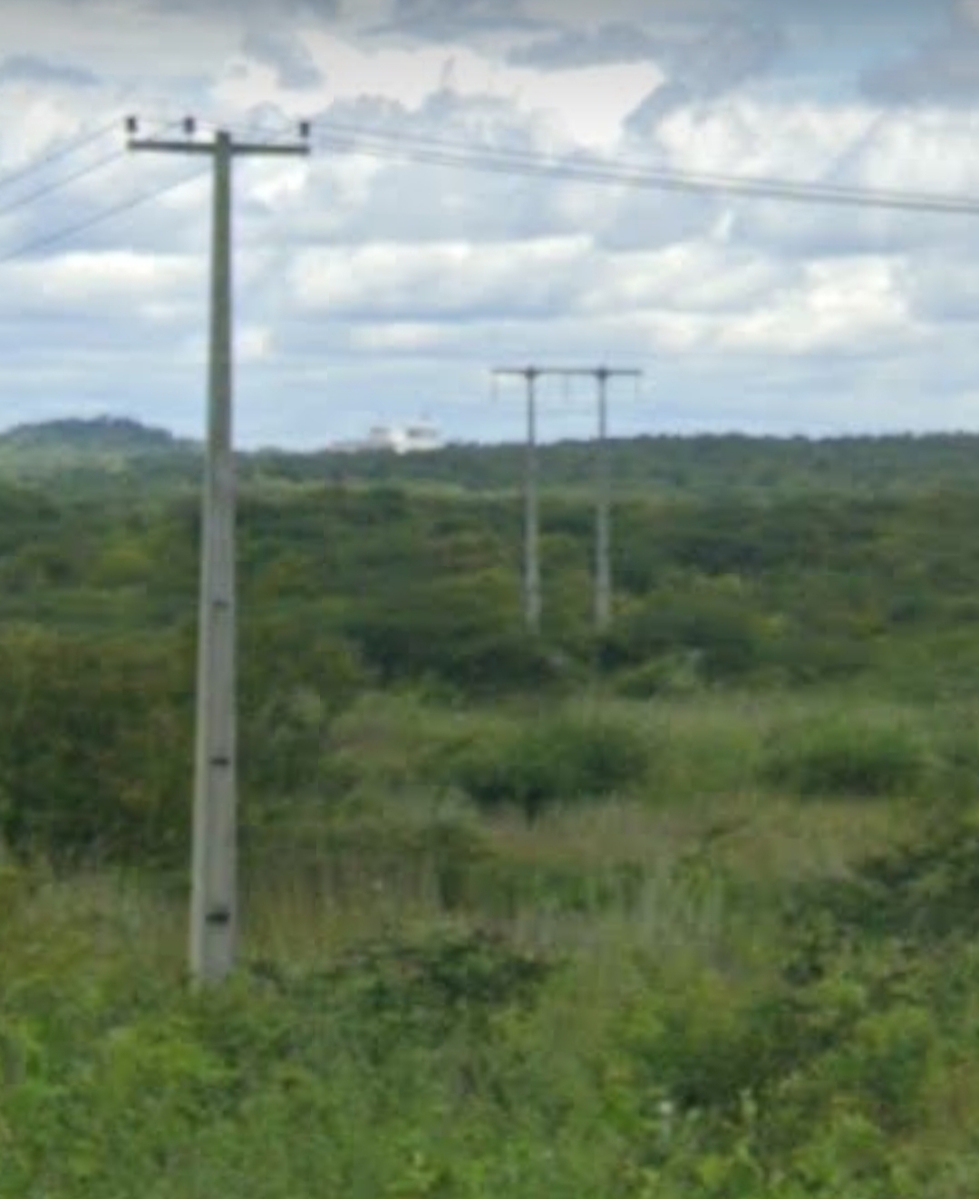 20231013_195501.jpg