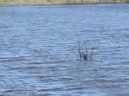 20230118_213951.jpg