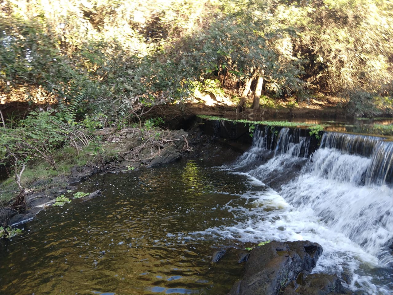 IMG-20191022-WA0038.jpg