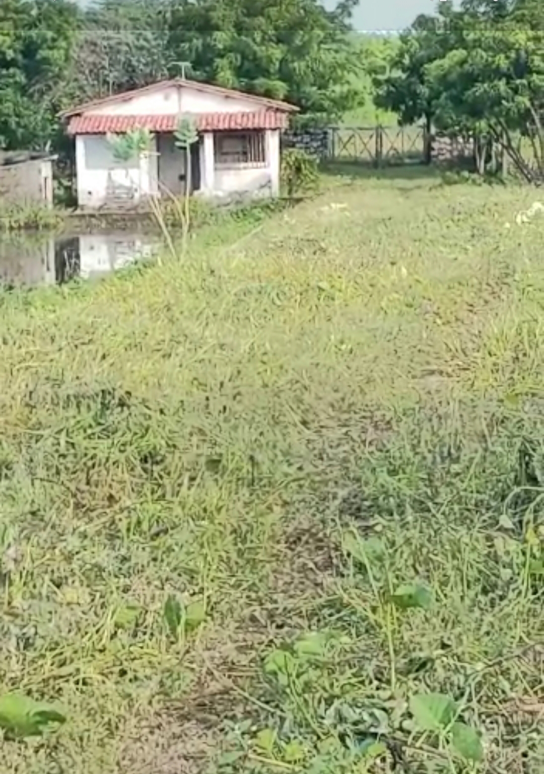 20230512_095654.jpg