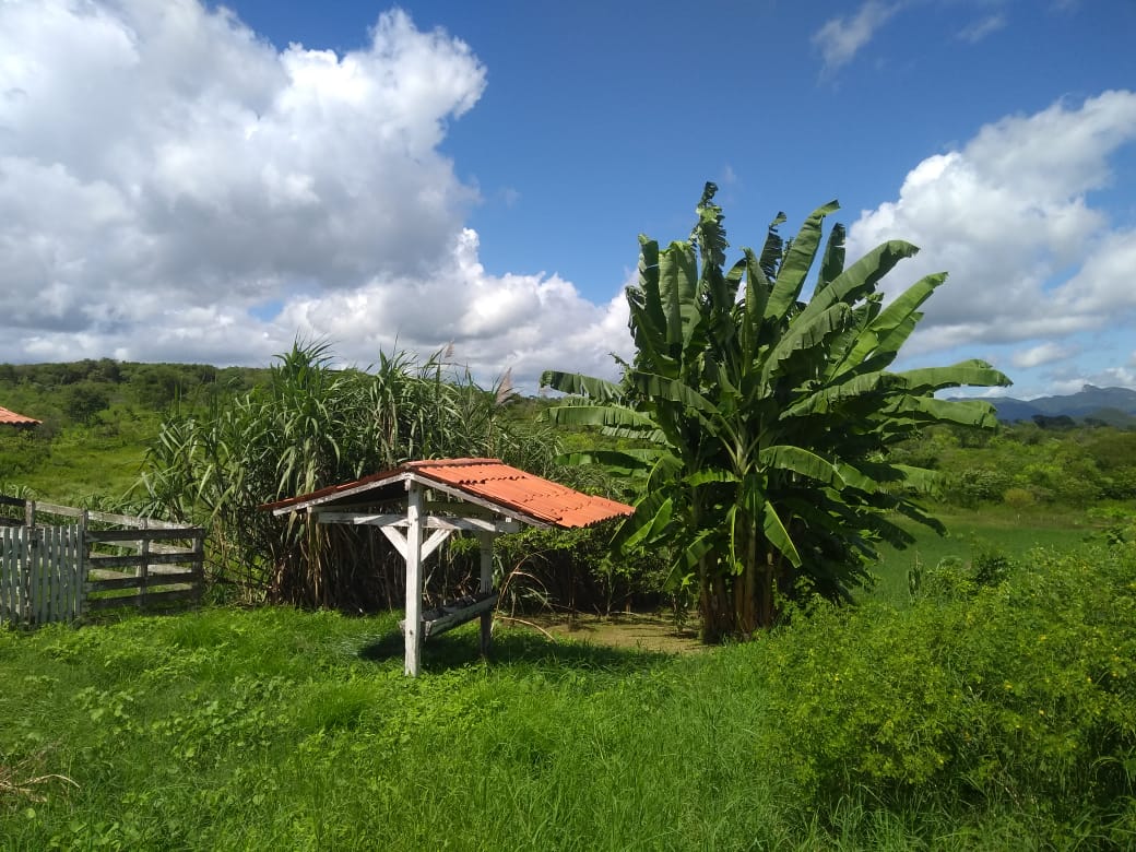 IMG-20190619-WA0005.jpg
