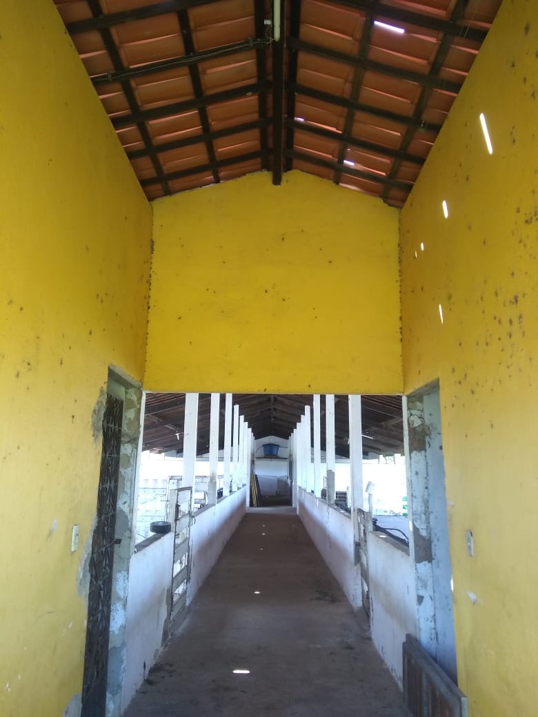 IMG-20190619-WA0013.jpg